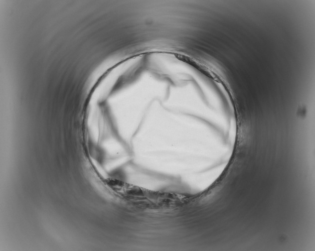 X0000111681146200908281129