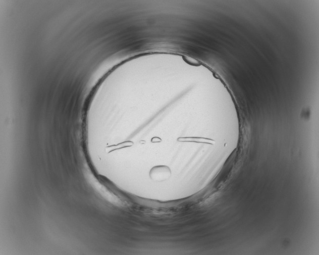 X0000111681147200908281129