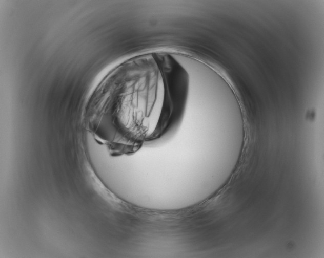 X0000111681148200908281129