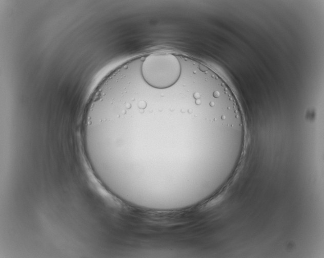 X0000111681149200908281129