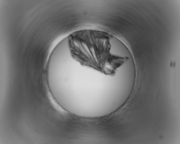 X0000111681152200908281129