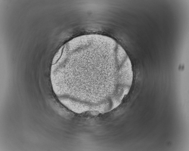 X0000111681153200908281129