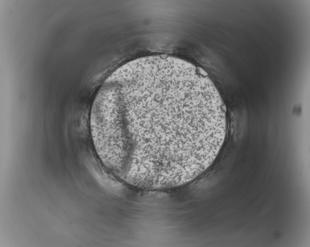 X0000111681154200908281129