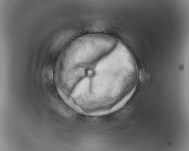 X0000111681155200908281129