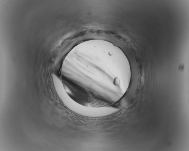 X0000111681157200908281129