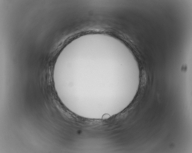 X0000111681158200908281129