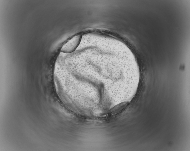 X0000111681159200908281129