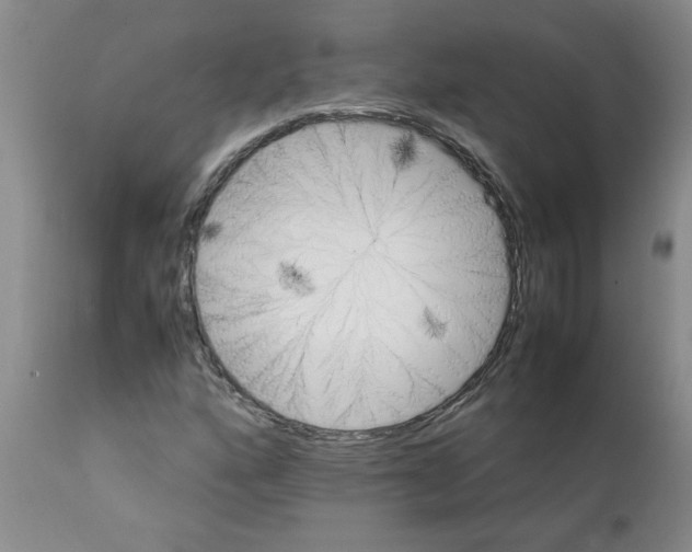 X0000111681160200908281129