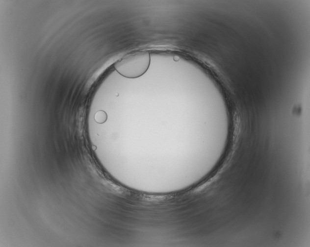 X0000111681162200908281129