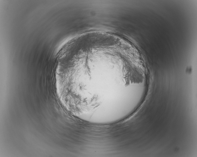 X0000111681163200908281128