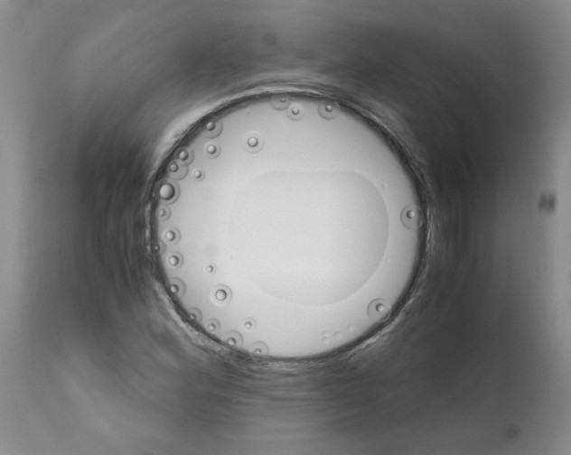 X0000111681164200908281128