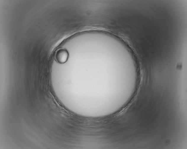 X0000111681165200908281128