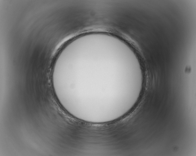 X0000111681166200908281128