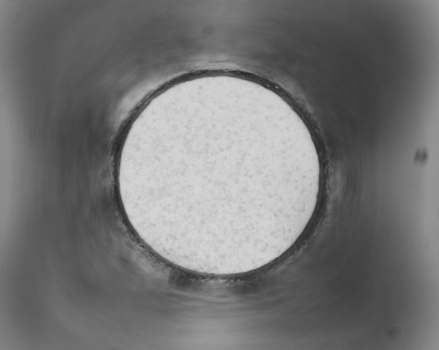 X0000111681167200908281128