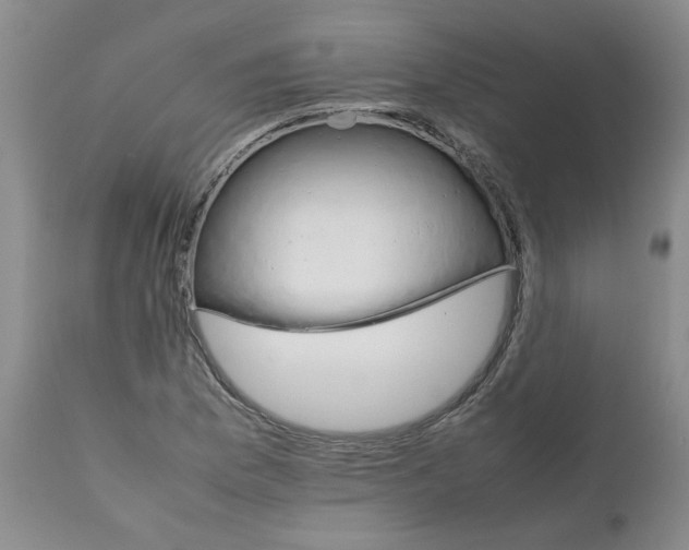 X0000111681169200908281128