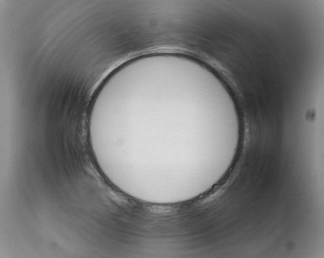 X0000111681170200908281128