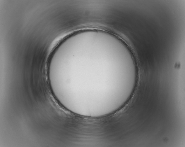 X0000111681172200908281128