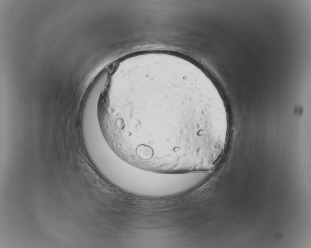 X0000111681173200908281128