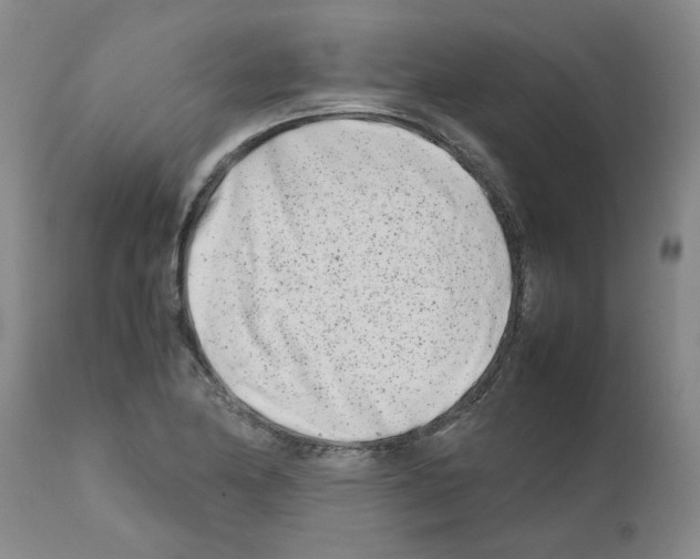 X0000111681174200908281128