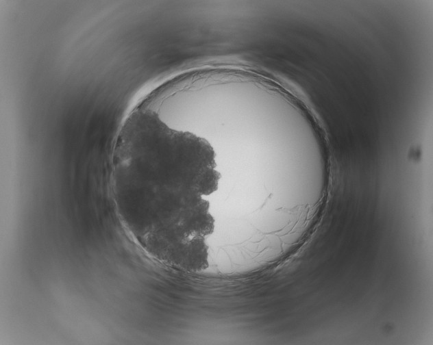 X0000111681176200908281128