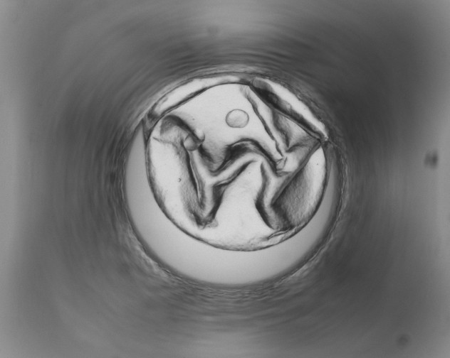 X0000111681177200908281128