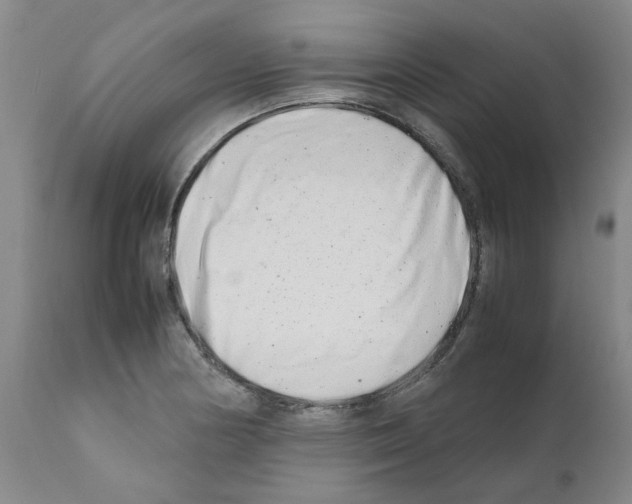 X0000111681178200908281128