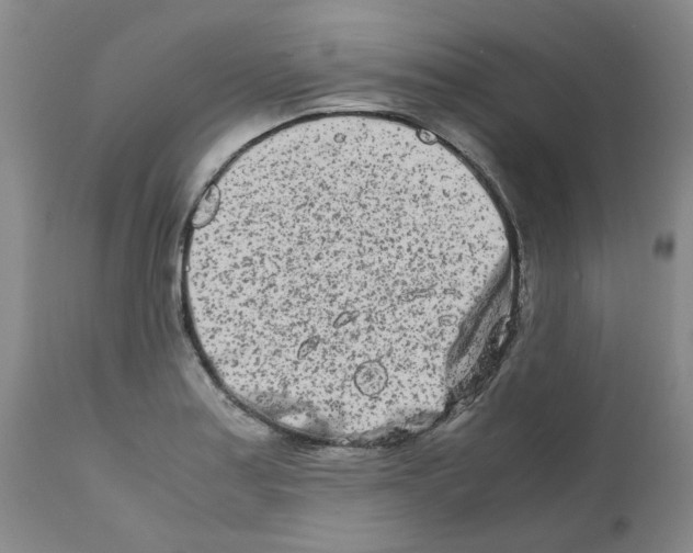 X0000111681179200908281128