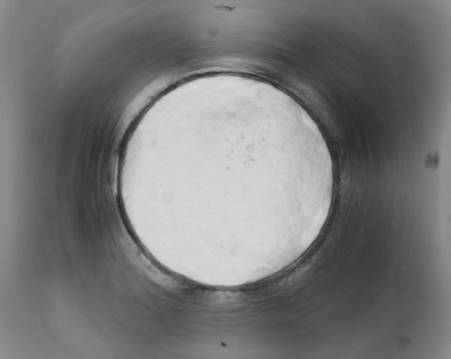 X0000111681180200908281128