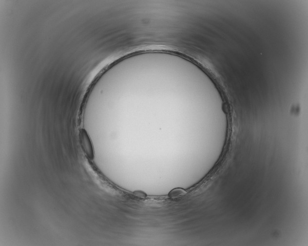 X0000111681181200908281128