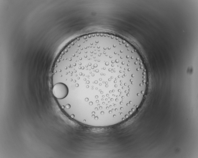 X0000111681182200908281128