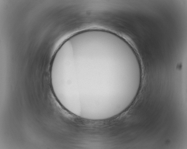 X0000111681183200908281128