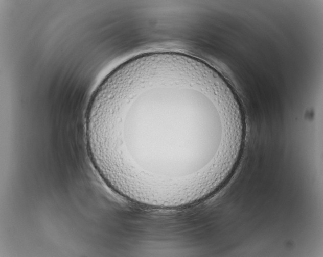 X0000111681184200908281128