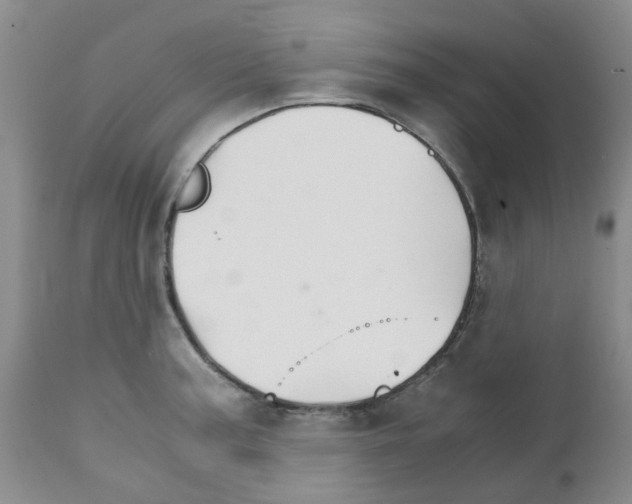 X0000111681187200908281128