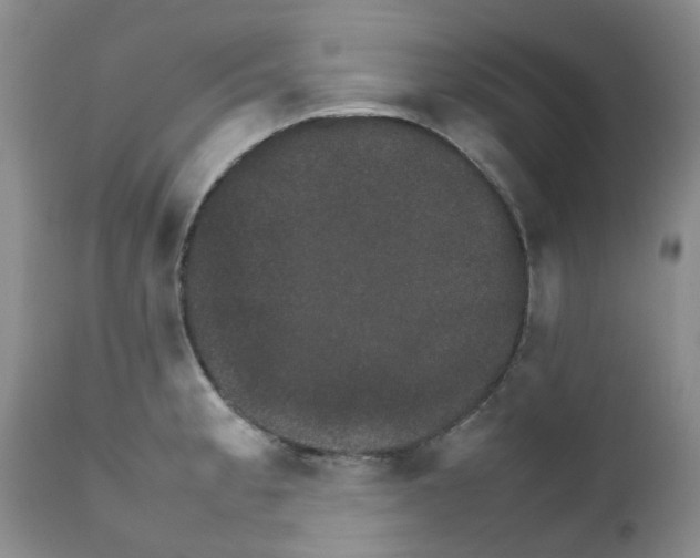 X0000111681189200908281128