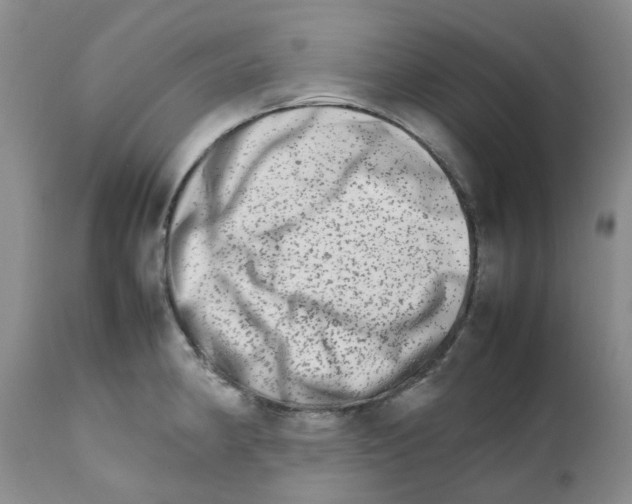 X0000111681190200908281128