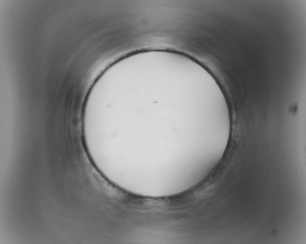 X0000111681191200908281128