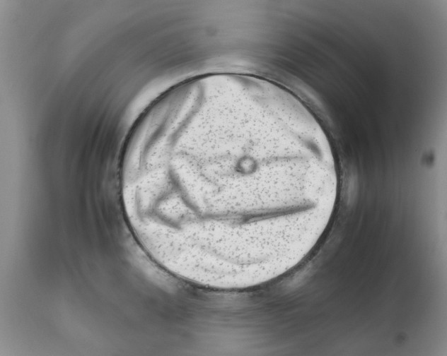 X0000111681192200908281128