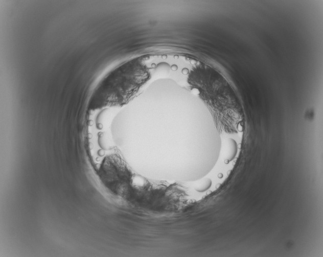 X0000111681195200908281128