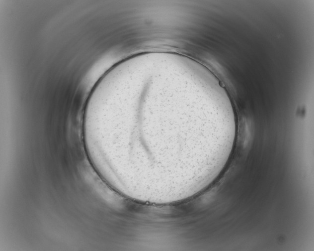 X0000111681196200908281128