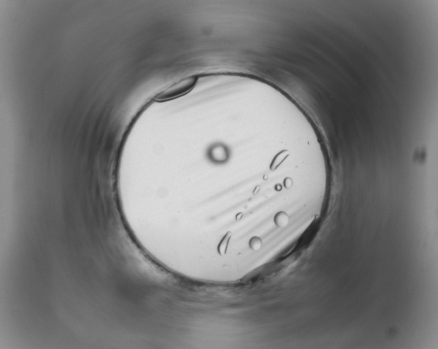 X0000111681197200908281128