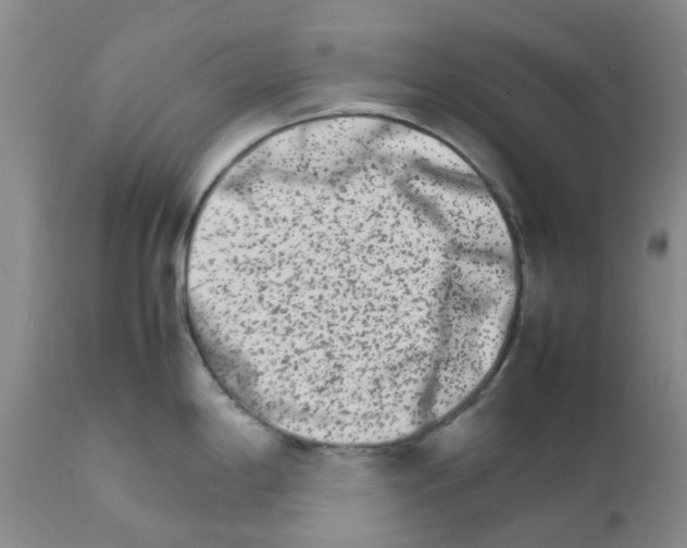 X0000111681198200908281128