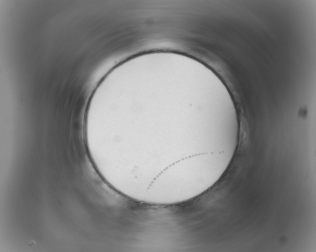 X0000111681199200908281128