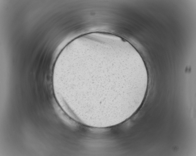 X0000111681200200908281128