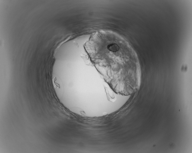 X0000111681201200908281127