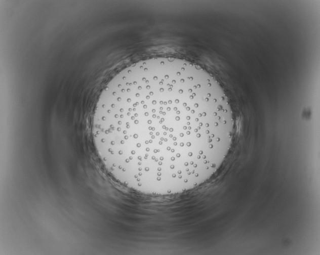 X0000111681203200908281127