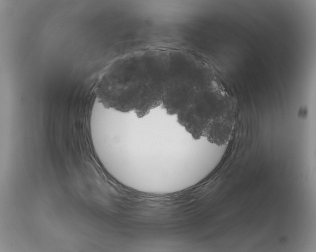 X0000111681204200908281127