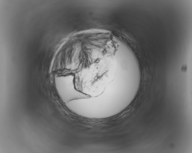 X0000111681205200908281127