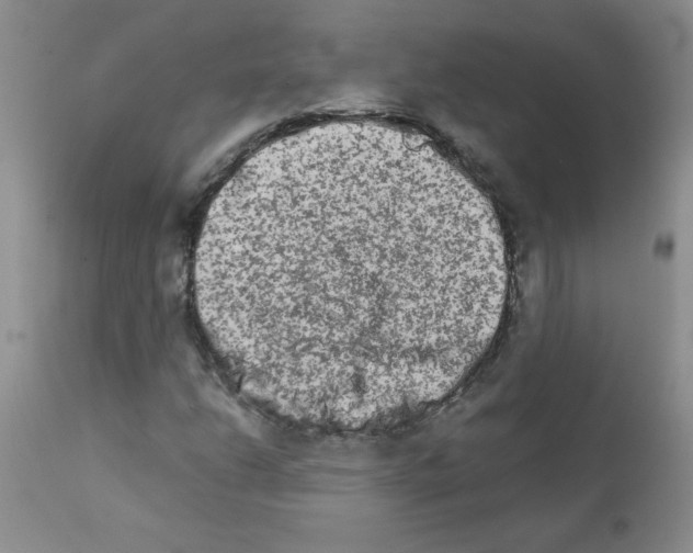 X0000111681206200908281127