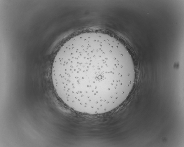 X0000111681207200908281127