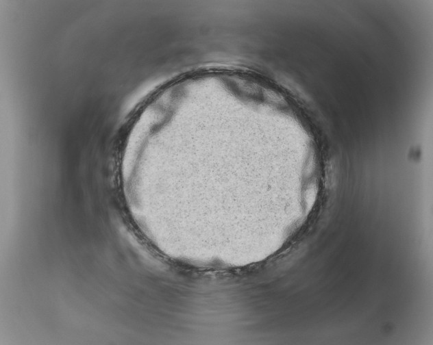 X0000111681208200908281127